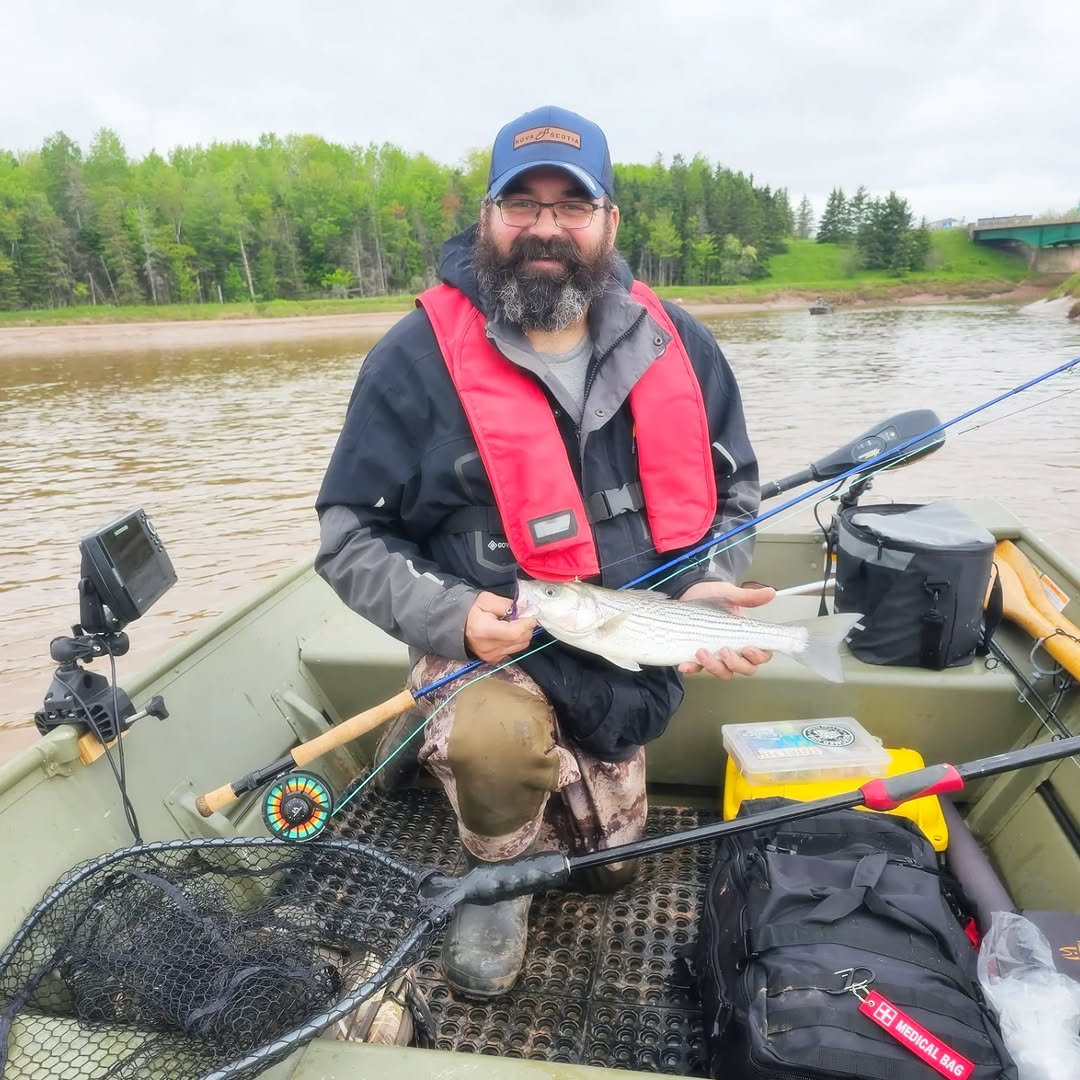 Striped bass caught while fishing in Lantz NS from boat on river