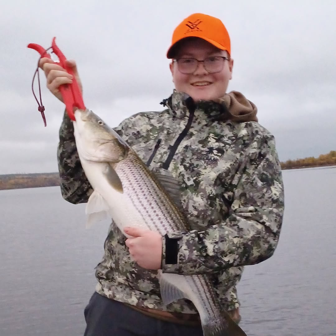 Striped bass caught fishing in Lantz NS