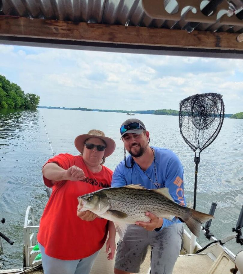 A 27-inch wiper (hybrid striped bass) caught while fishing in Tennessee.