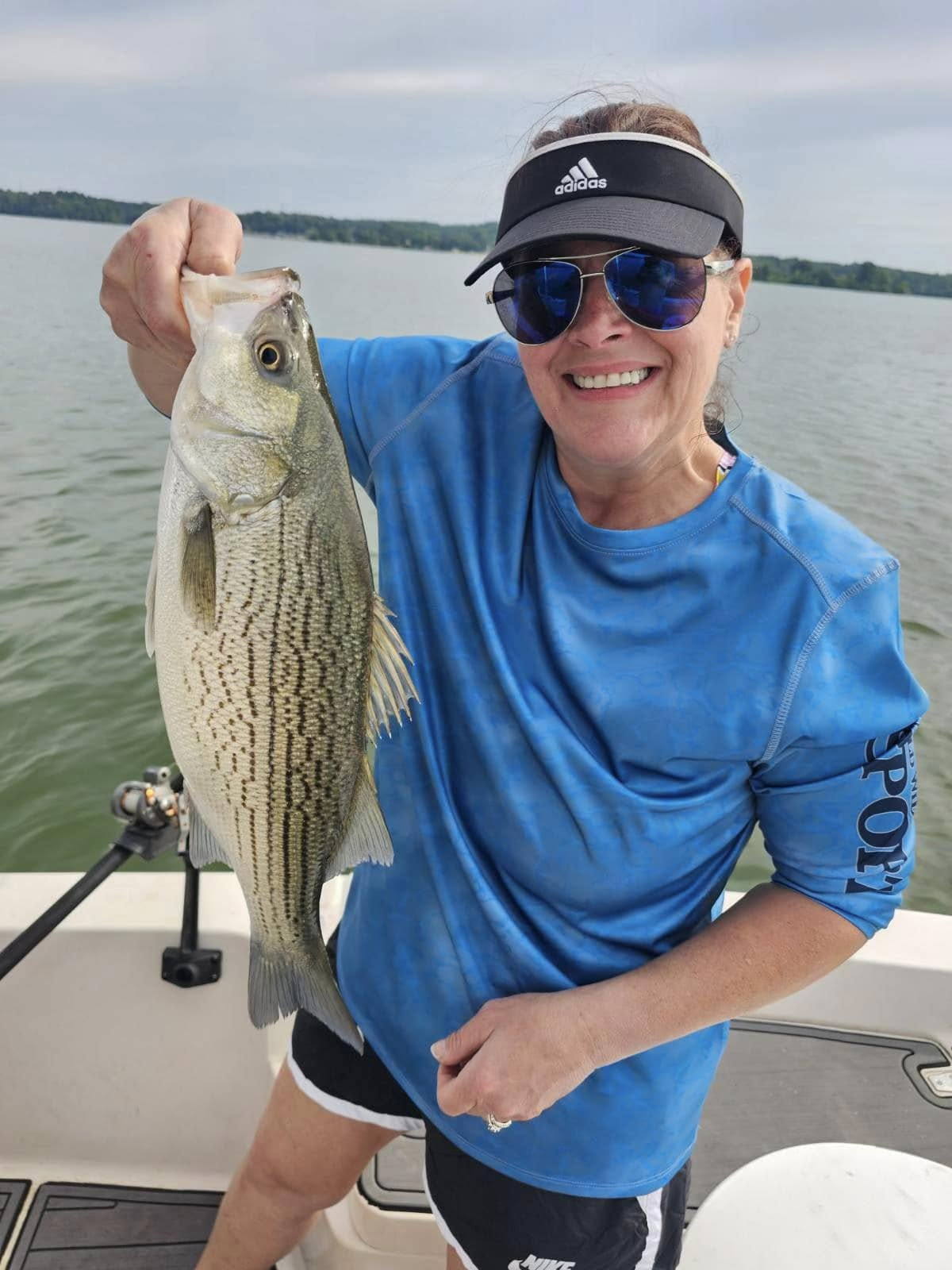 Wiper (Hybrid striped bass) fish caught in TN