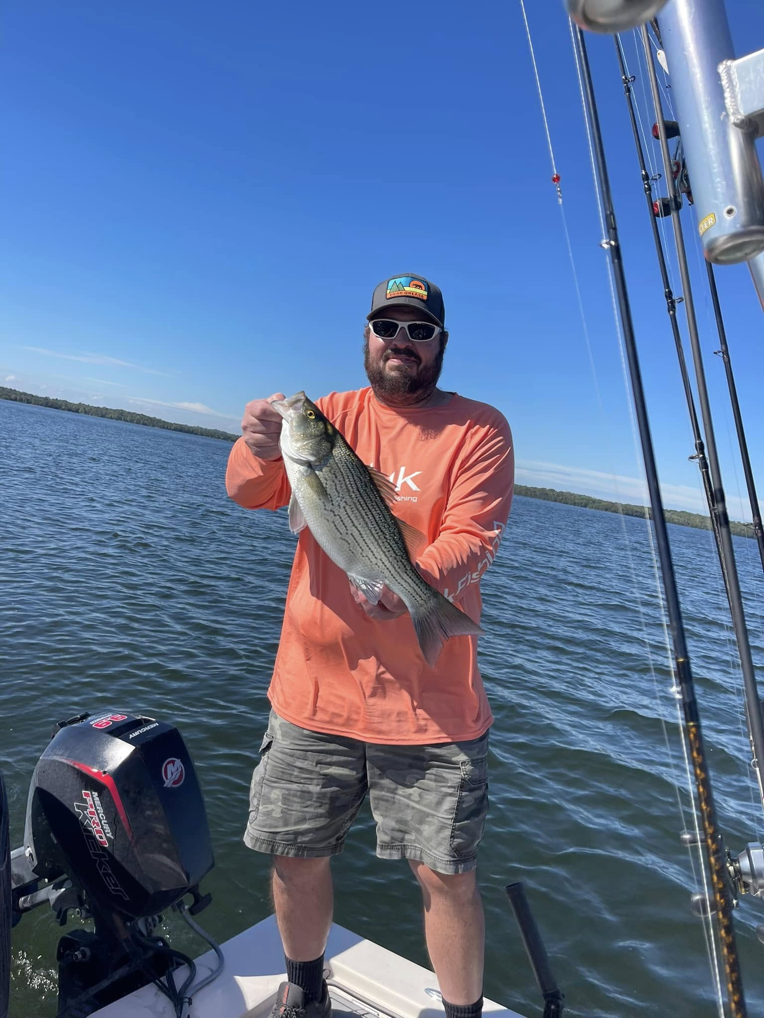 Wiper (hybrid striped bass) caught in Mt. Juliet