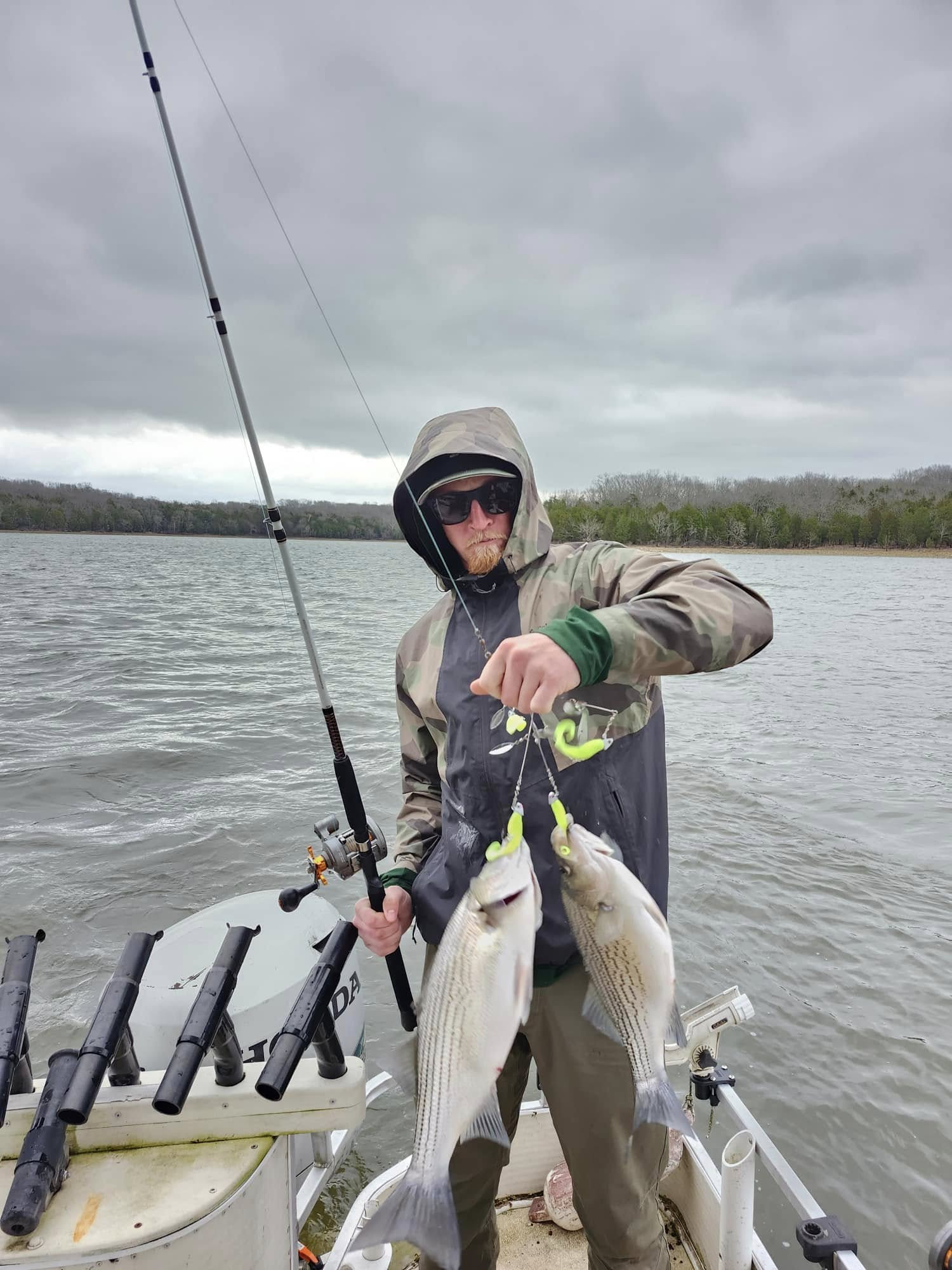 Anglers holding two large wiper (hybrid striped bass) in Nashville