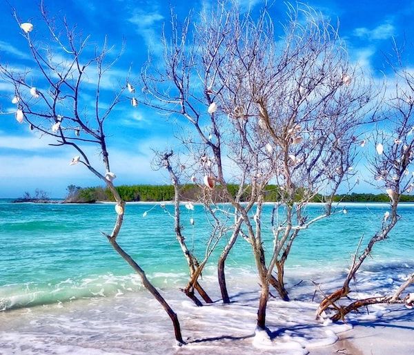 Treasure Island FL shelling swimming charter boat with 6 passengers on sandy beach shallow water