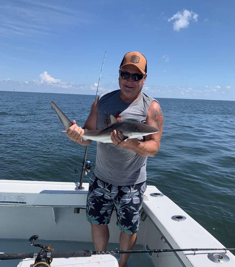 Blacktip shark catch on fishing boat in Biloxi Mississippi waters