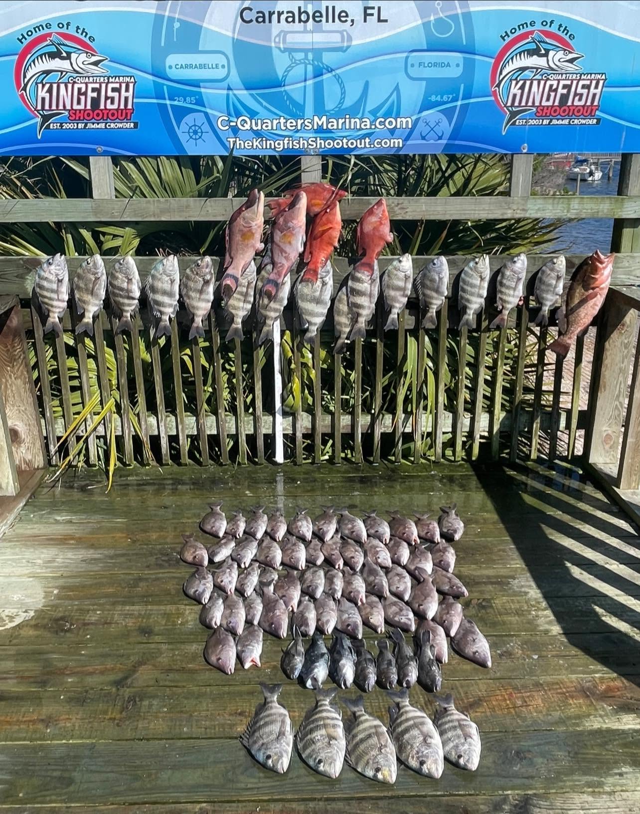 Large catch of red grouper and sheepshead fish displayed on dock in Carrabelle FL