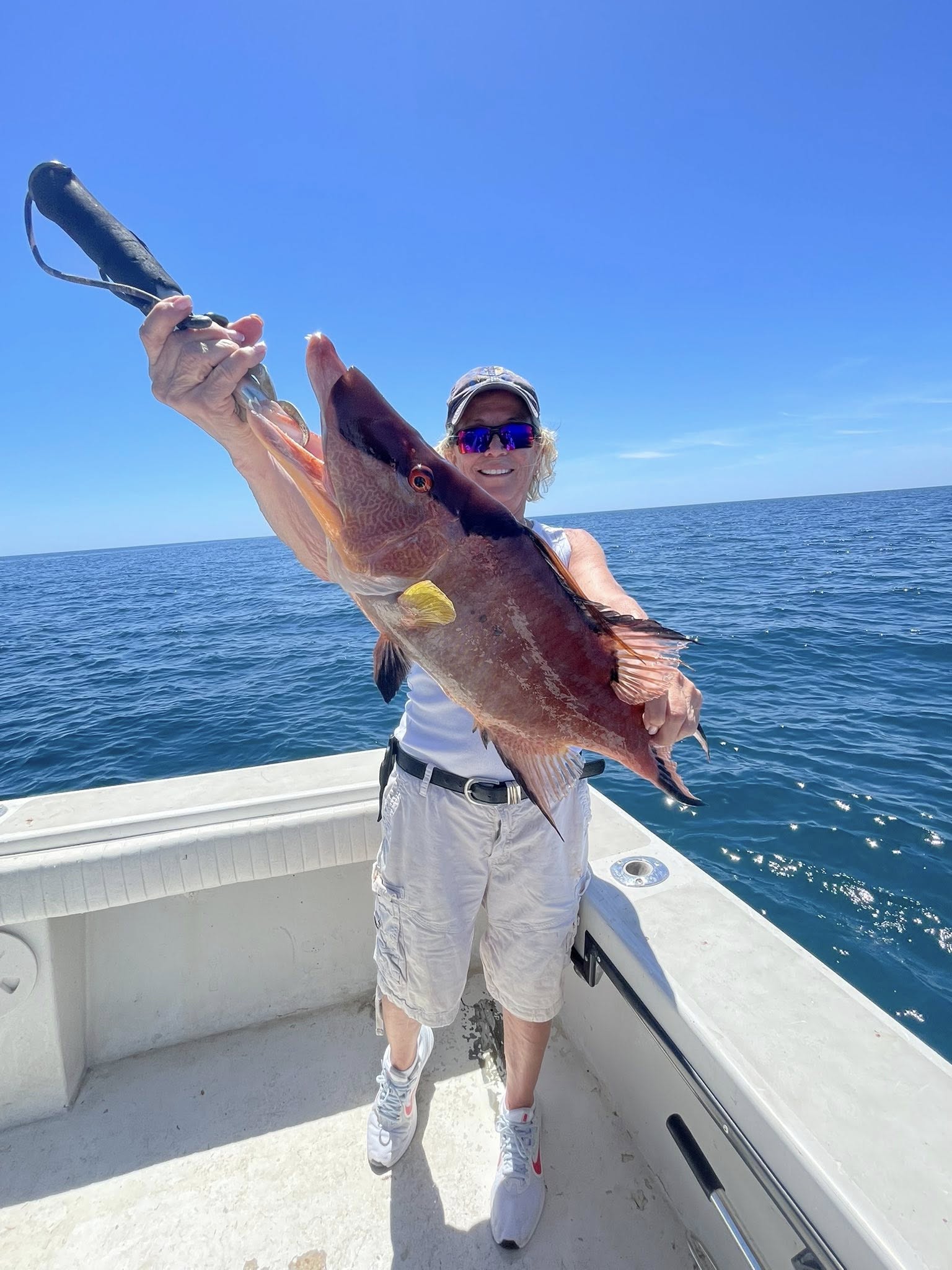 Hogfish caught while fishing in Carrabelle FL waters