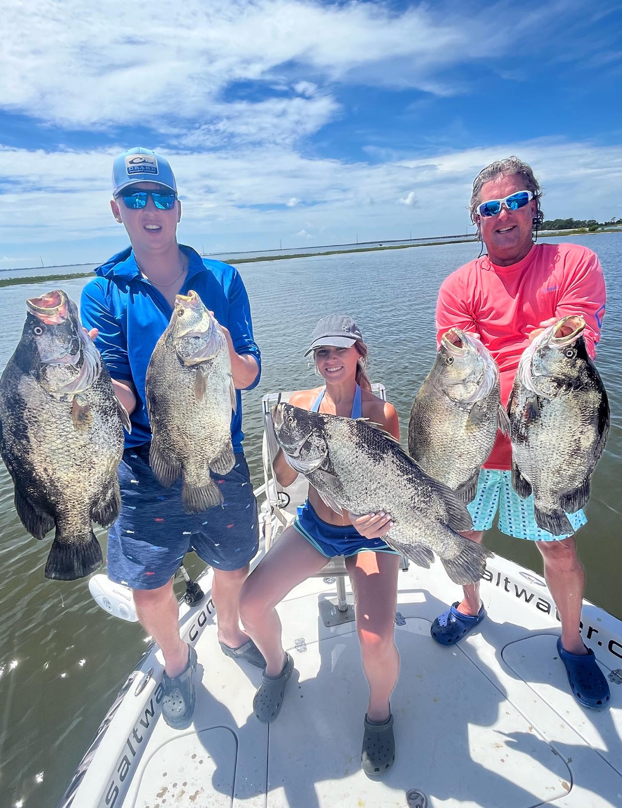 Five large tripletail fish caught in a fishing trip in FL