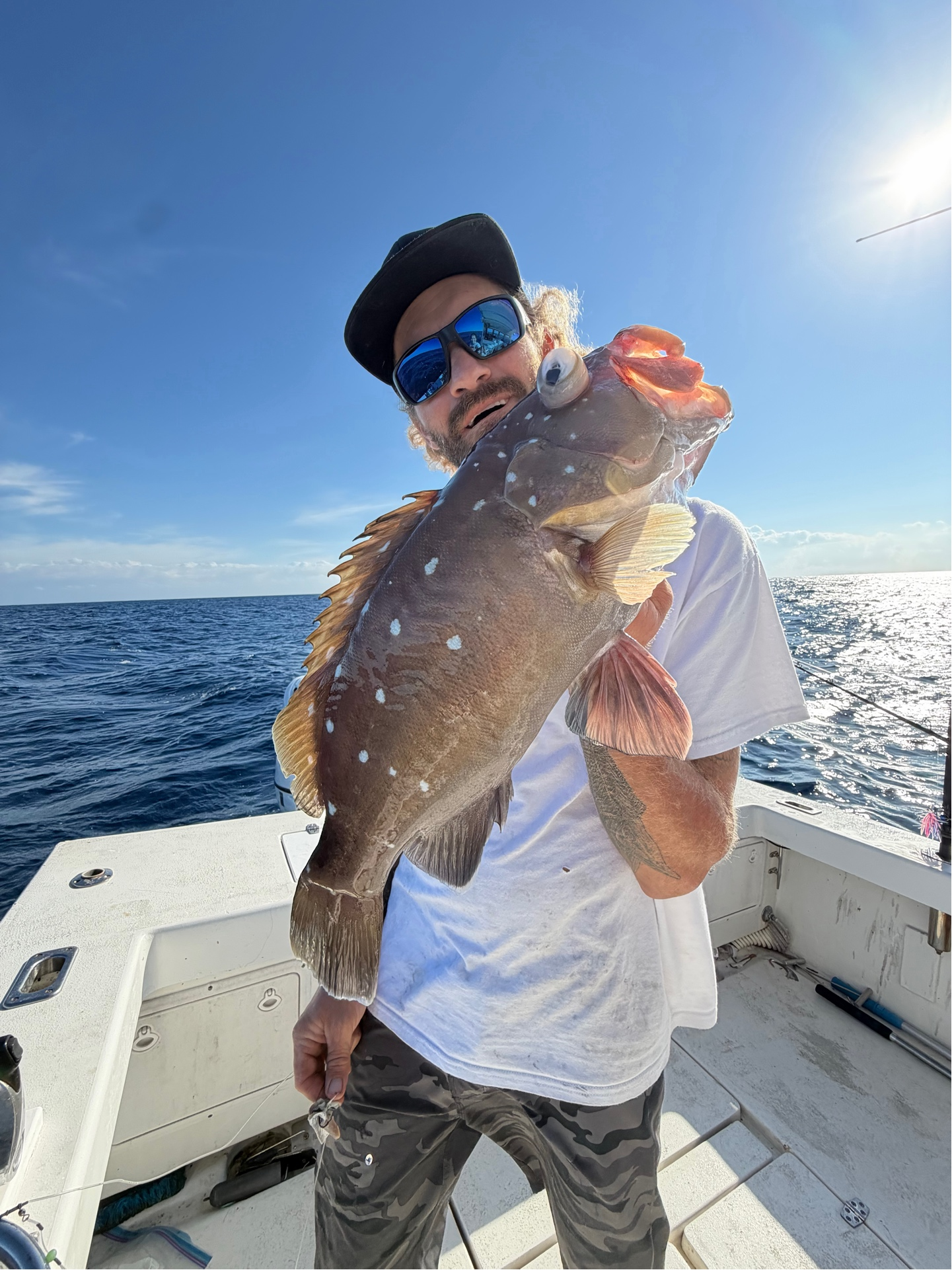 Freshly caught grouper fish being held on fishing boat in Boynton Beach FL waters