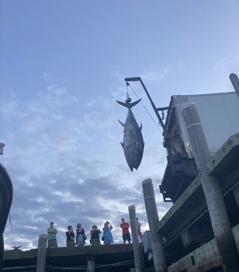 Three people fishing in Marshfield