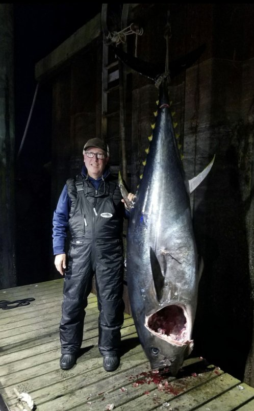Blackfin Tuna fish caught while fishing in MA
