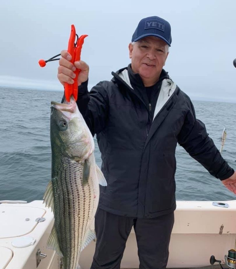 Striped bass caught in MA