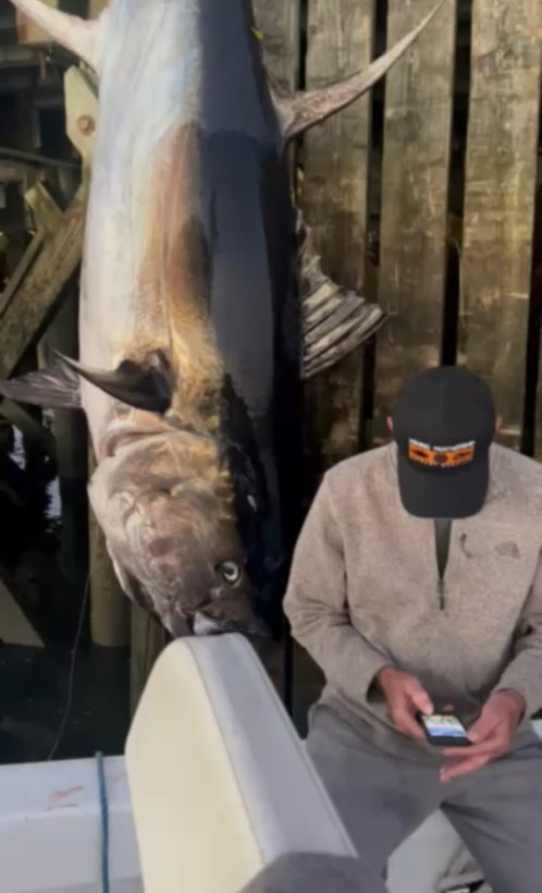 One fish caught in Marshfield