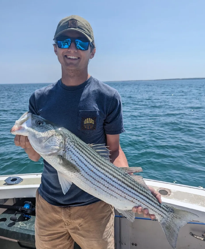 A striped bass caught while fishing in Massachusetts