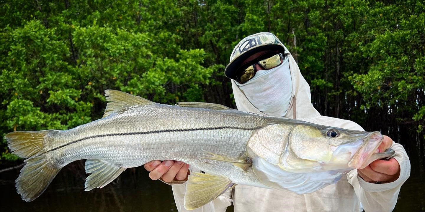Snook fish caught while fishing in FL