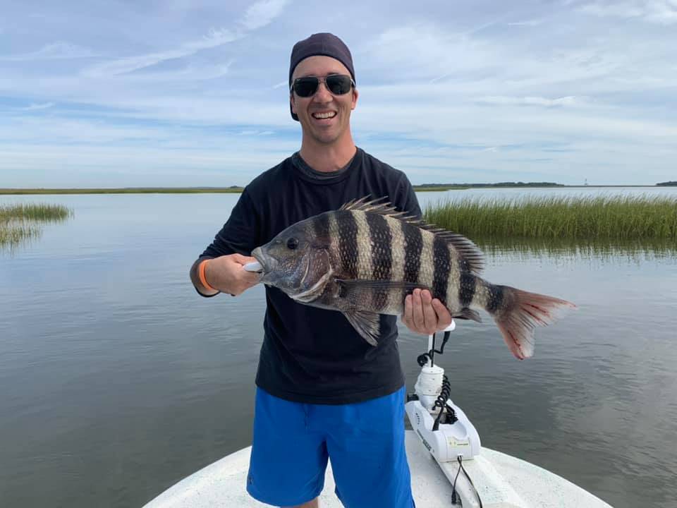 A sheepshead fish, 22 inches long, caught in Florida