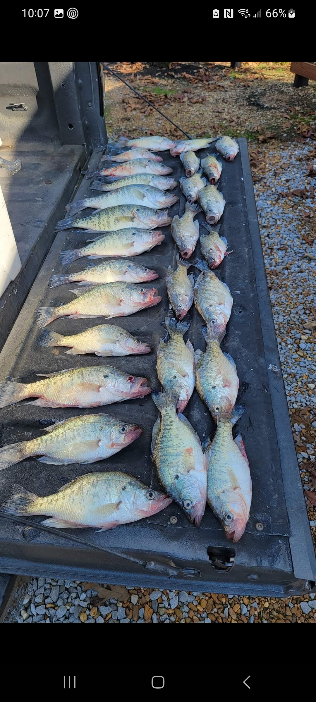 5 big fish caught while fishing in MS