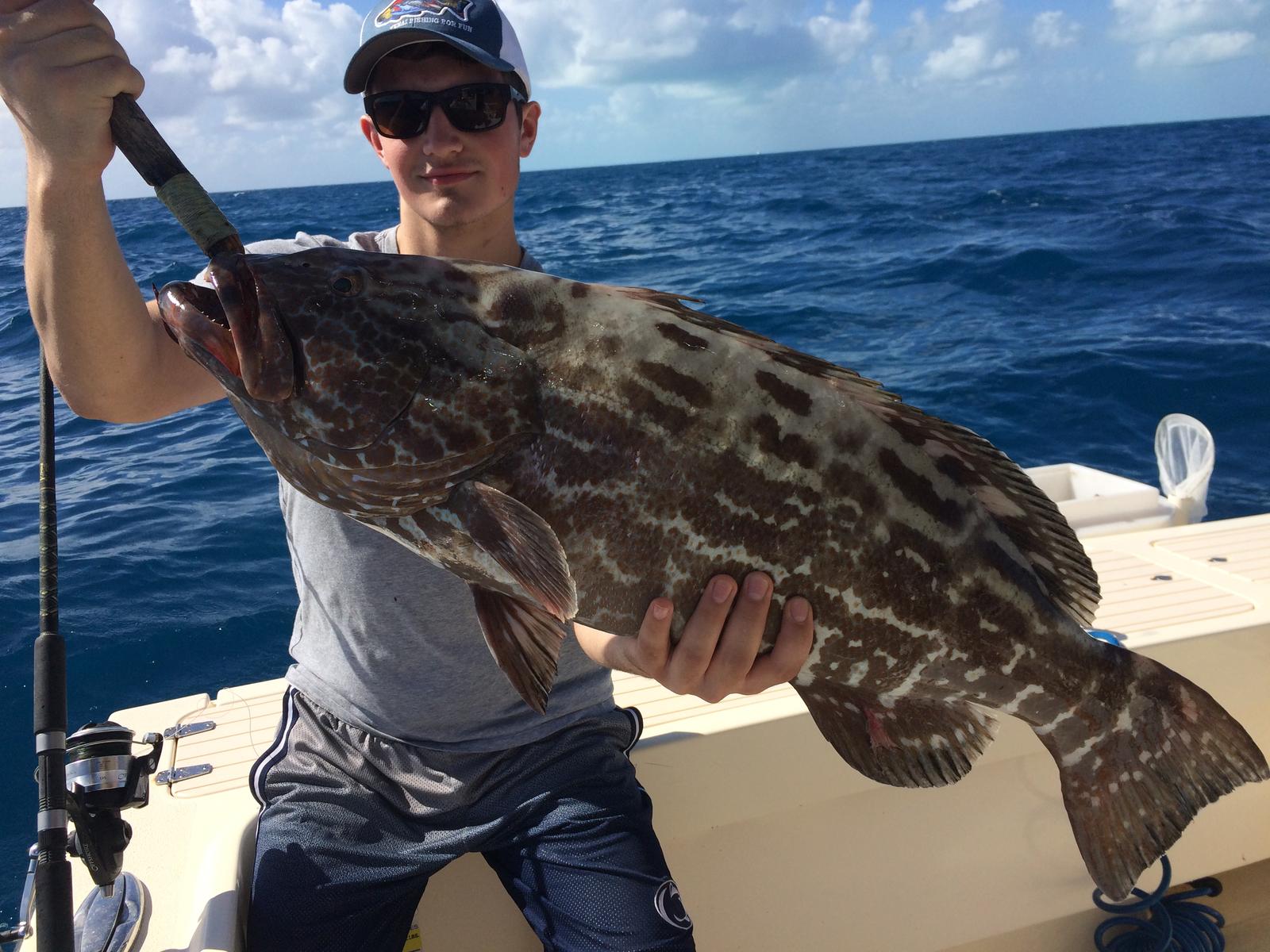 Photograph of a black grouper fish caught in FL