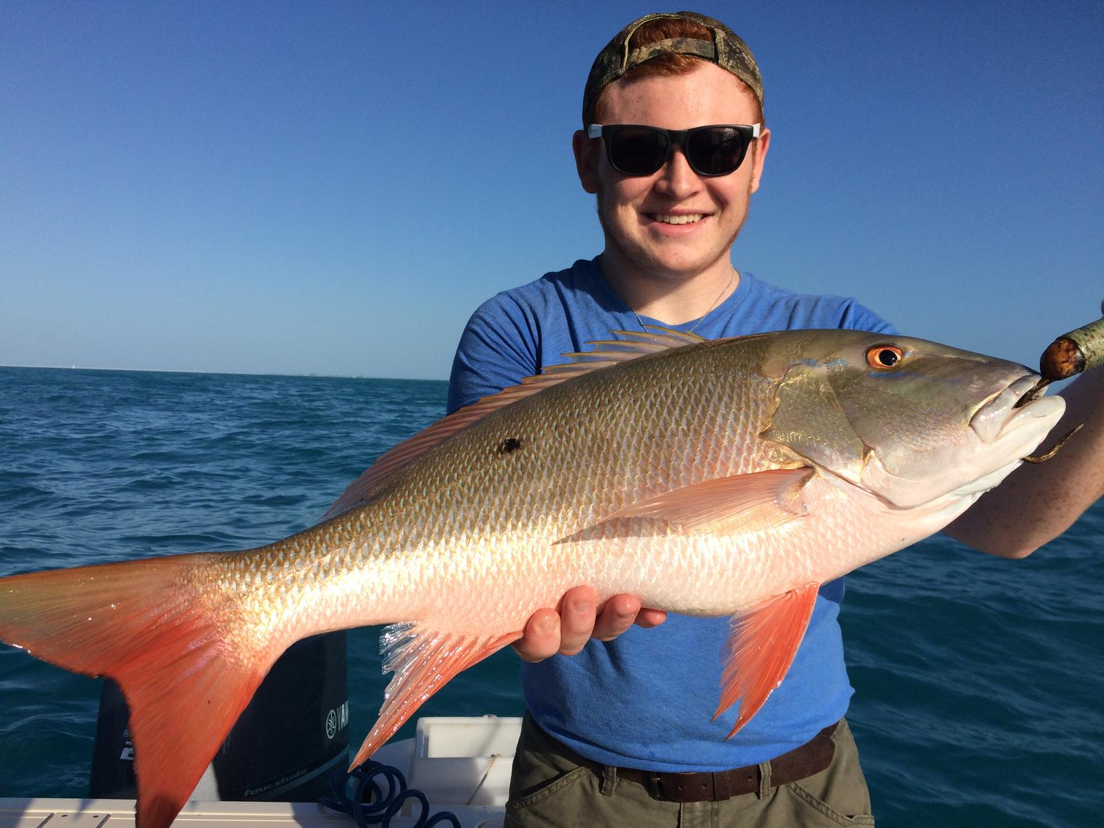Mutton snapper, a 30-inch fishing catch, in Marathon