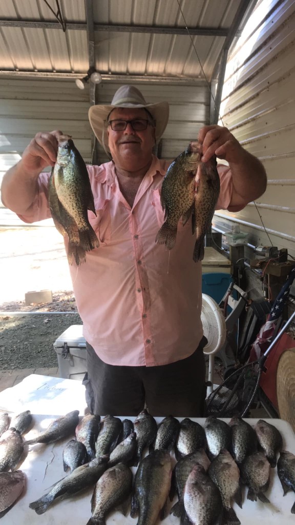 4 freshly caught fish in LA