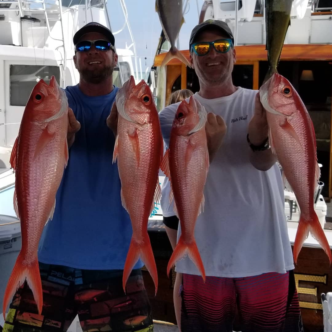 6 fishing in islamorada