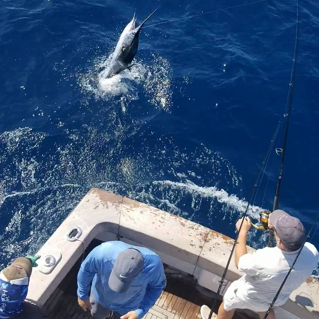 Angler fishing in the waters of Islamorada