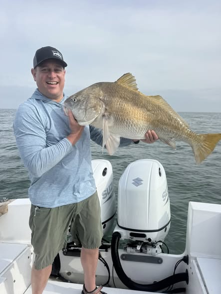 Black drum fish catch on fishing boat in Galveston TX waters