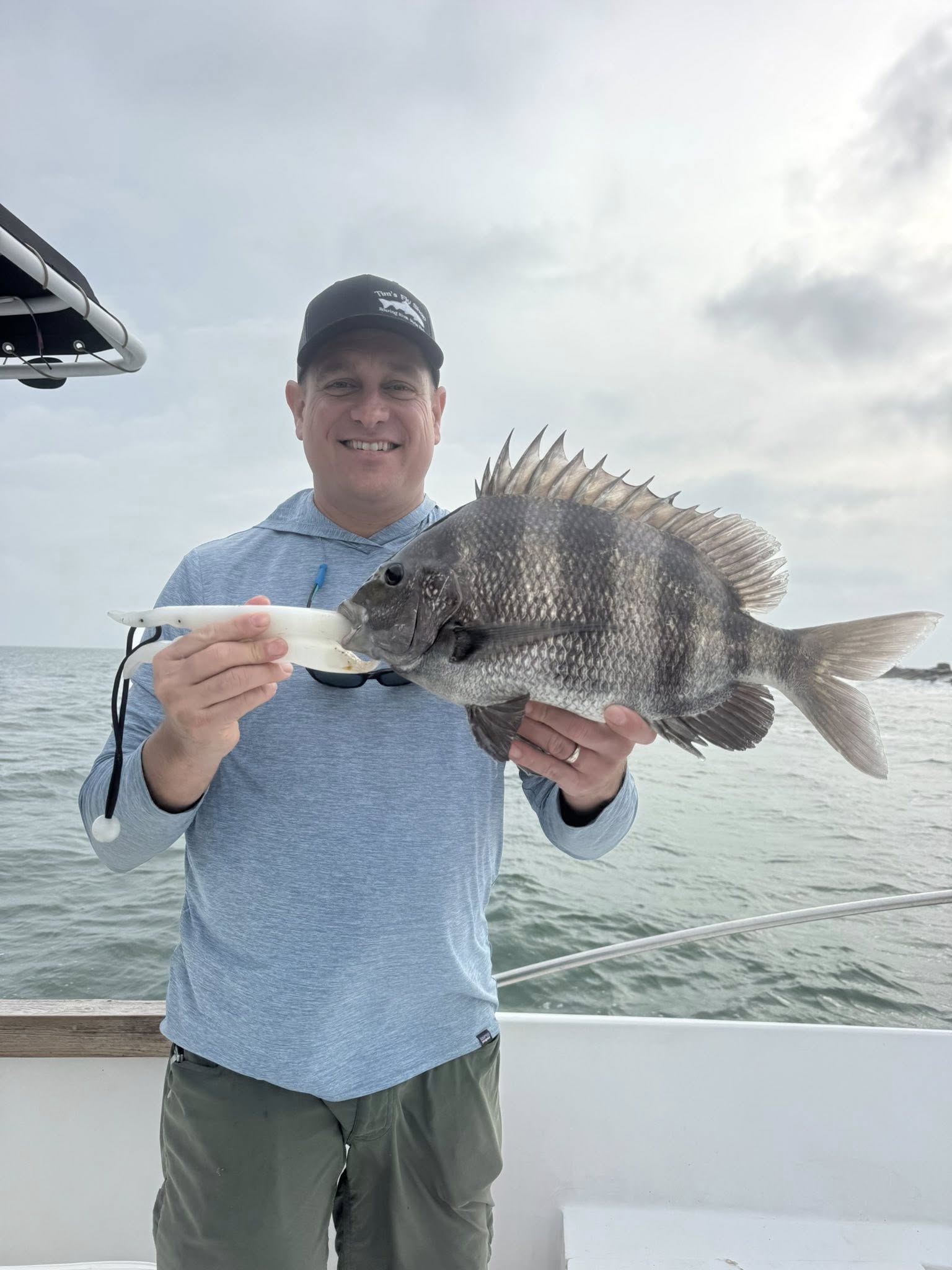 Sheepshead fish caught while fishing in Galveston TX waters
