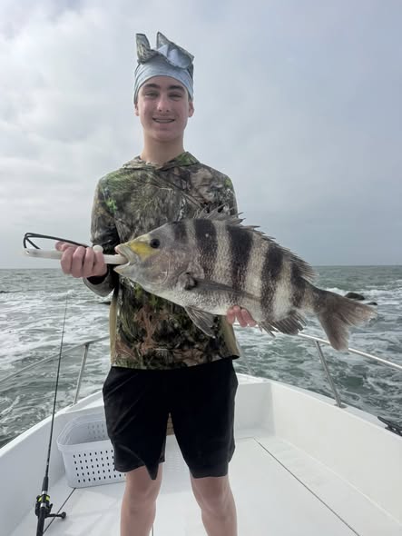 Sheepshead fish caught while fishing in Galveston TX