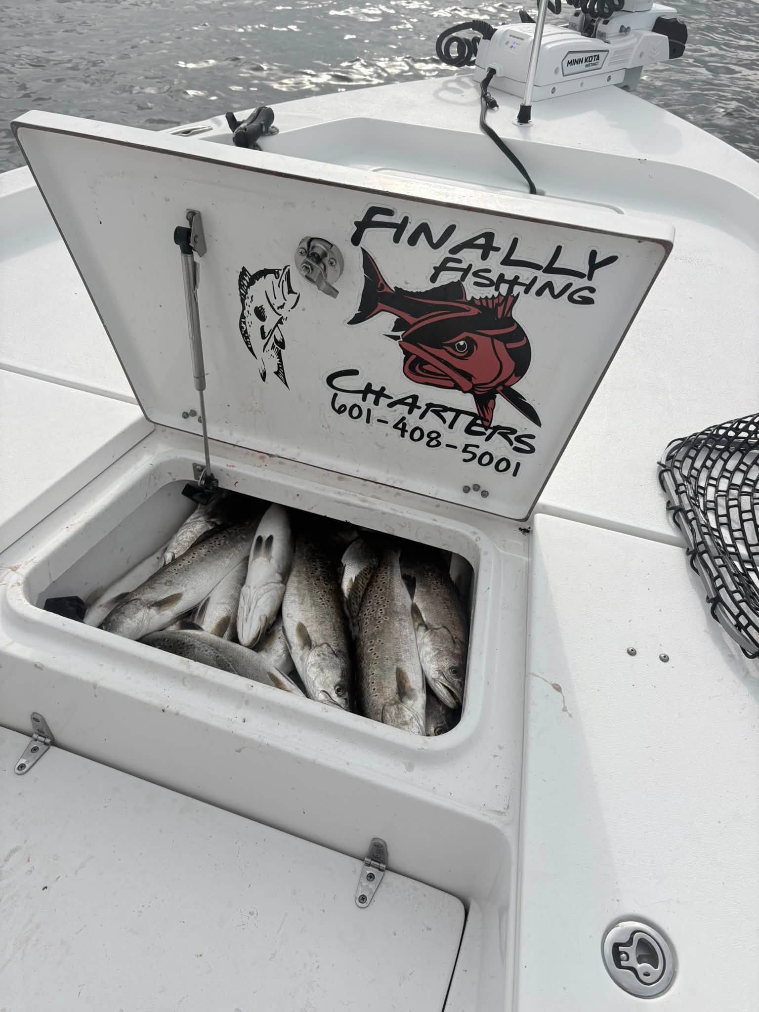Fresh speckled trout catch stored in boat cooler from Bay St. Louis MS fishing trip
