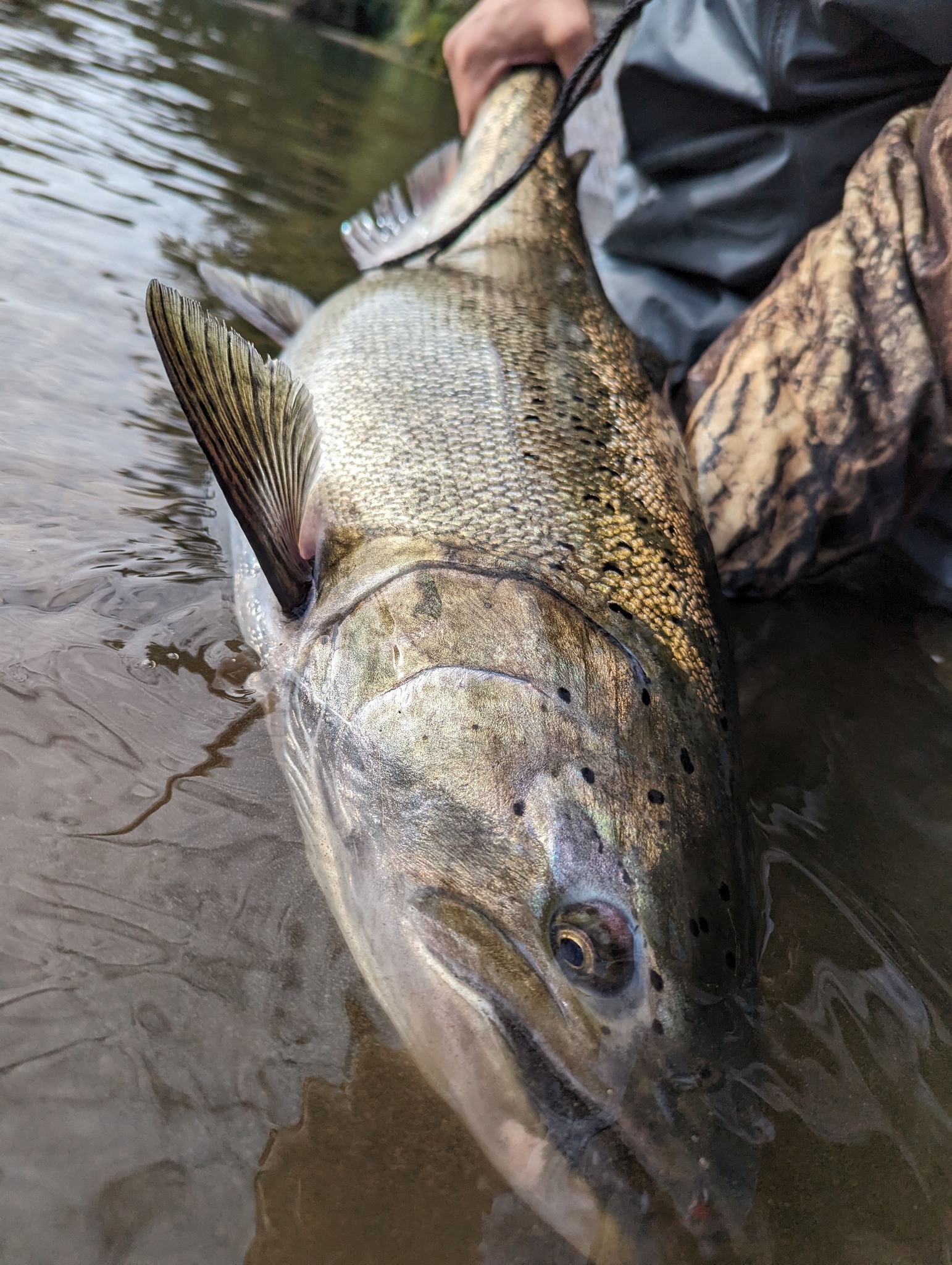 Montesano fishing adventure
