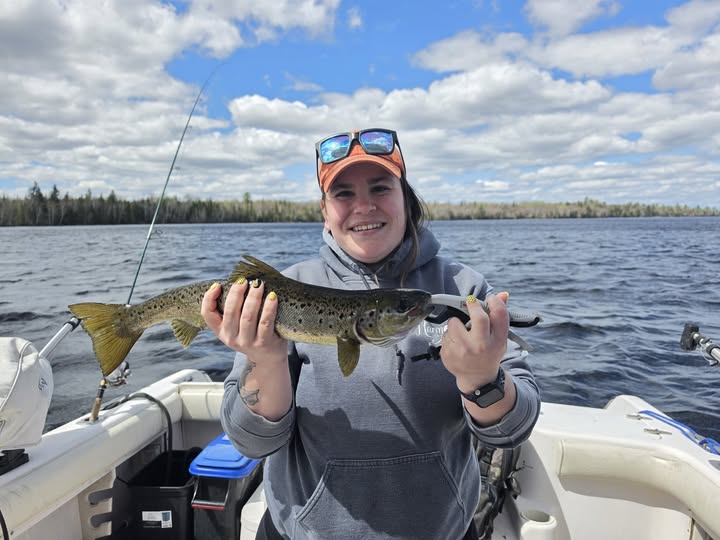 Atlantic salmon catch from fishing trip in Harmony Maine