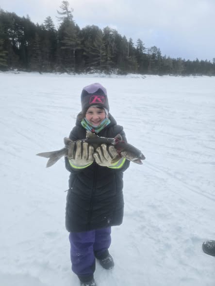 Ice fishing catch display showing multiple fish on snowy frozen lake in Harmony Maine