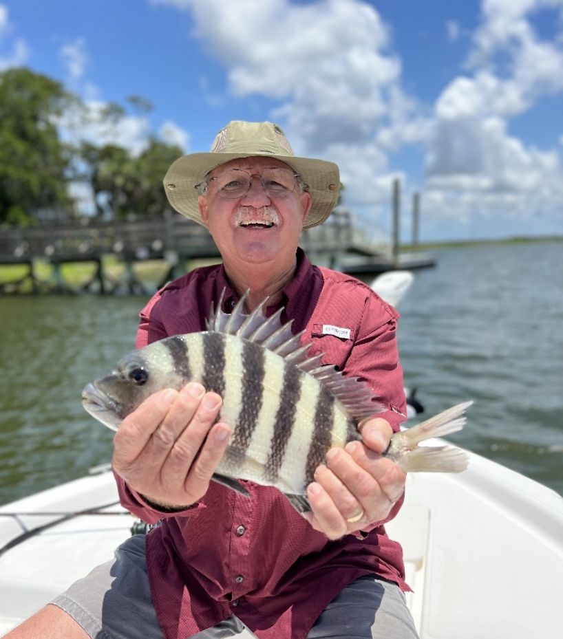 Sheepshead fish being held on fishing boat in Darien GA waters