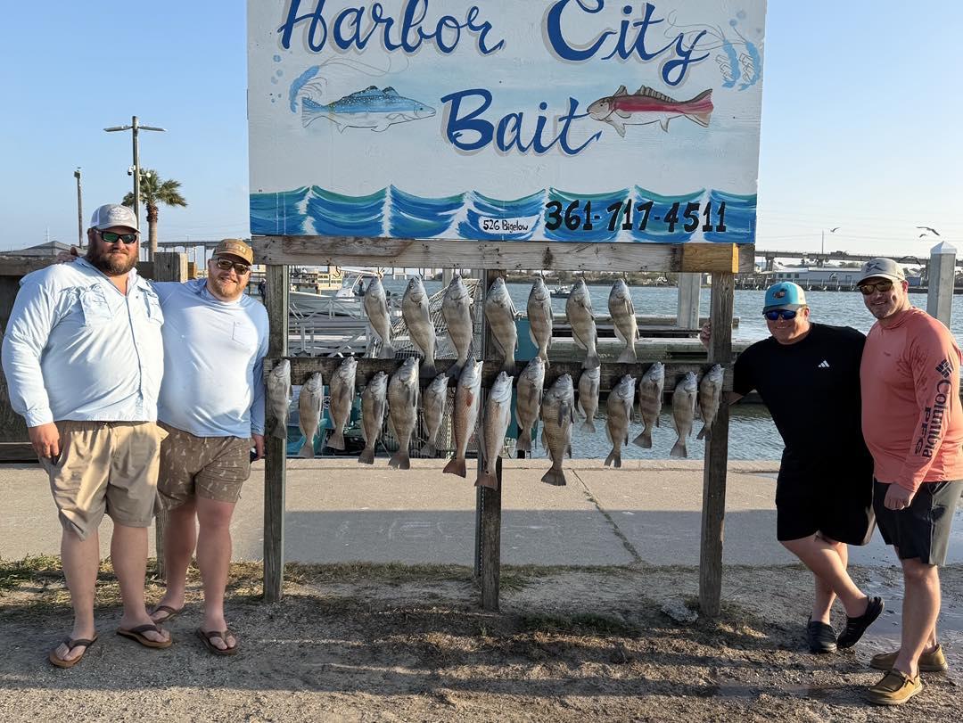 Black drum fishing catch displayed on cleaning station in Rockport TX