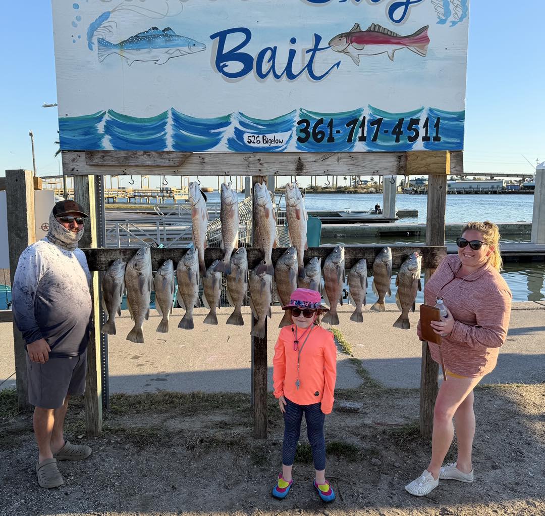 Black drum and redfish catch displayed on wooden fish cleaning station in Rockport TX