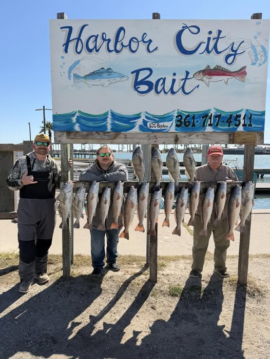 Fishing charter display showing multiple caught fish hanging on rack at Harbor City Bait in Rockport TX