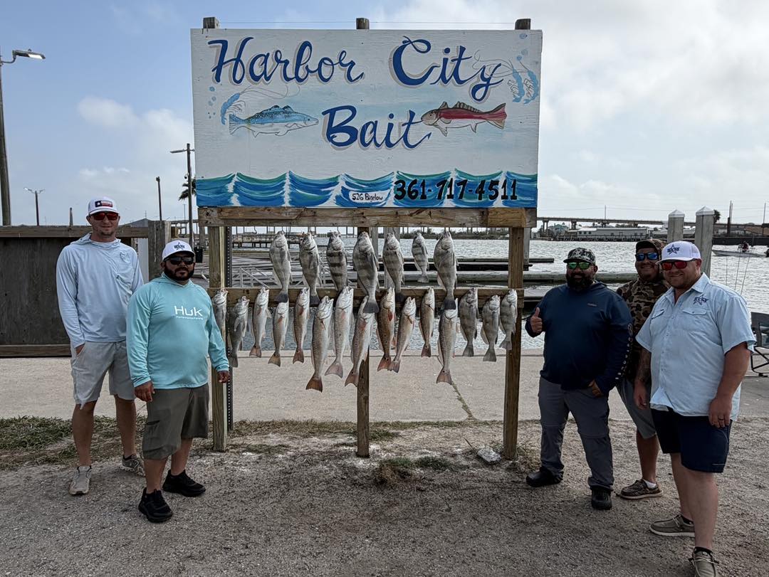 Multiple caught fish hanging on display rack at Harbor City Bait in Rockport TX
