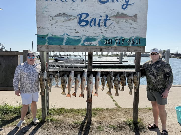Fishing charter display showing multiple redfish catch hanging on rack in Rockport TX marina