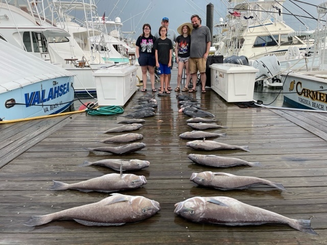 4 bluefish and horse-eye jack fish caught in VA