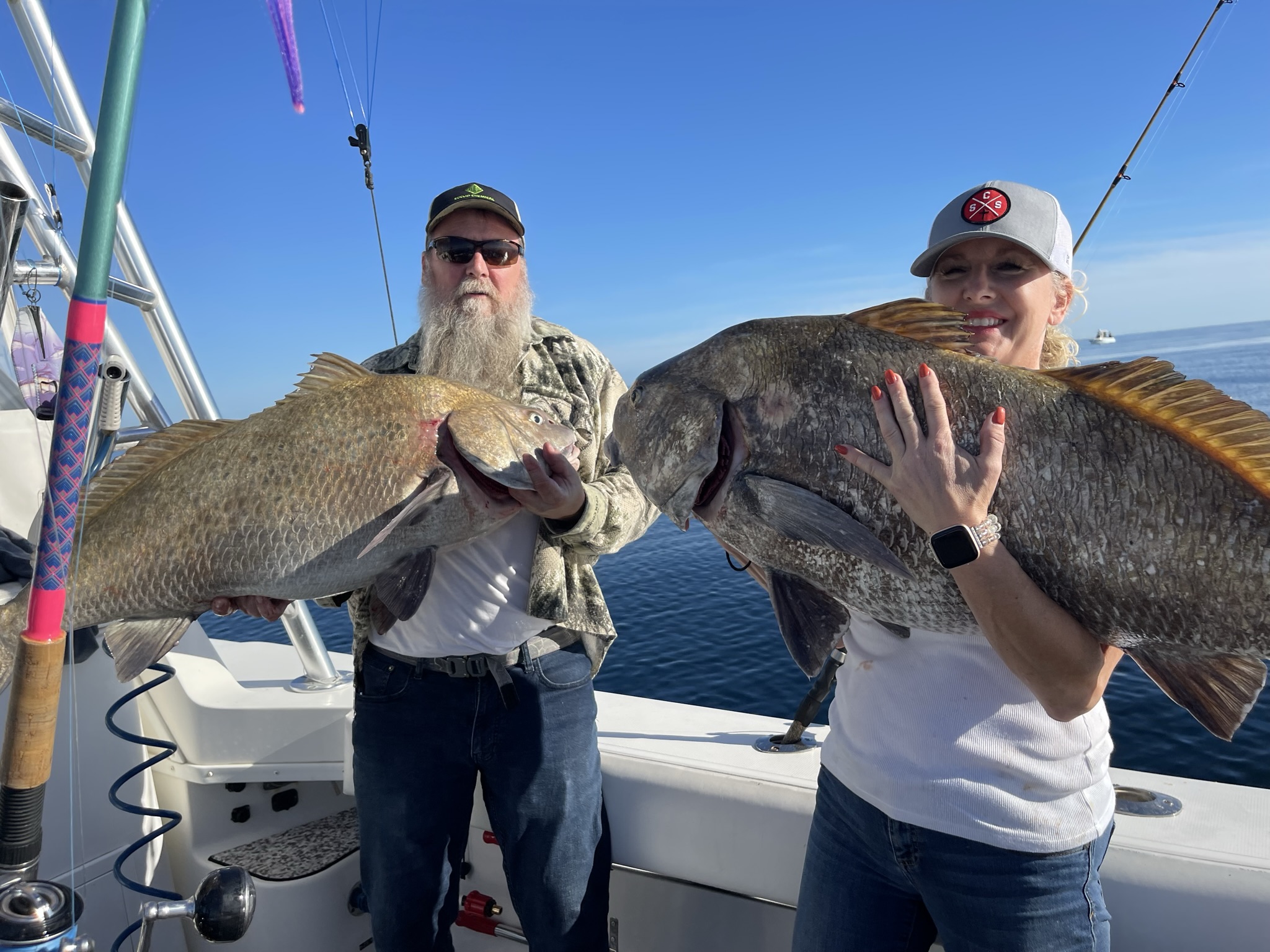 Two large Black Drum fish caught on fishing charter boat in Virginia Beach VA