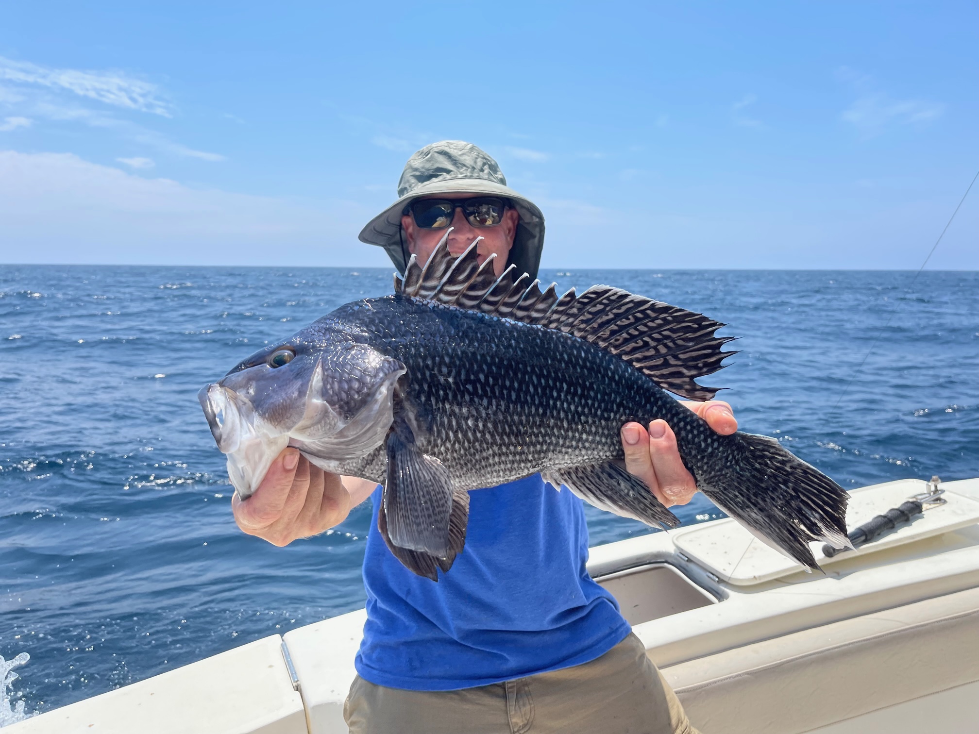 Black sea bass caught while fishing in Virginia Beach VA