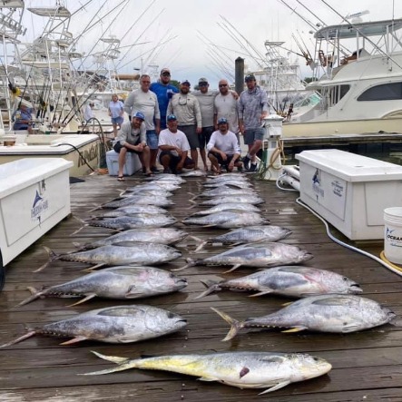 Book Knot Tell'n Fishing charters on Guidesly