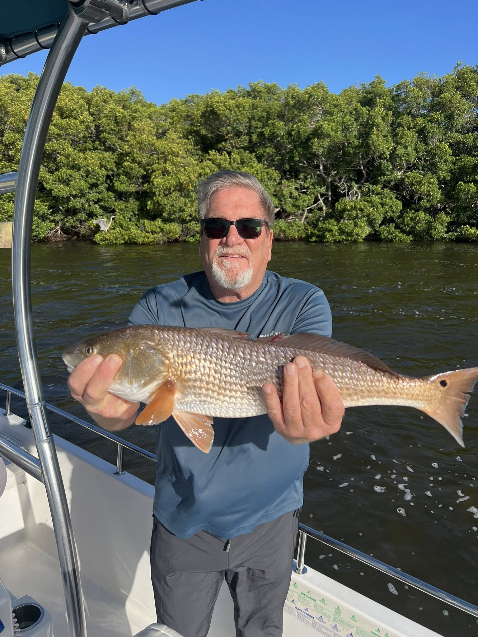 Photo of a redfish caught in Tarpon Springs, Florida