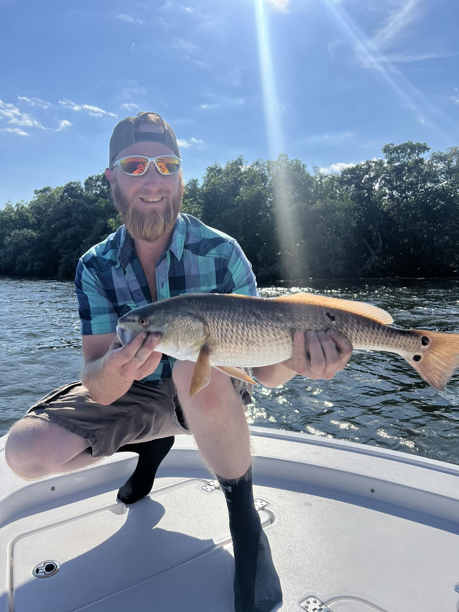 Redfish caught by angler in Tarpon Springs