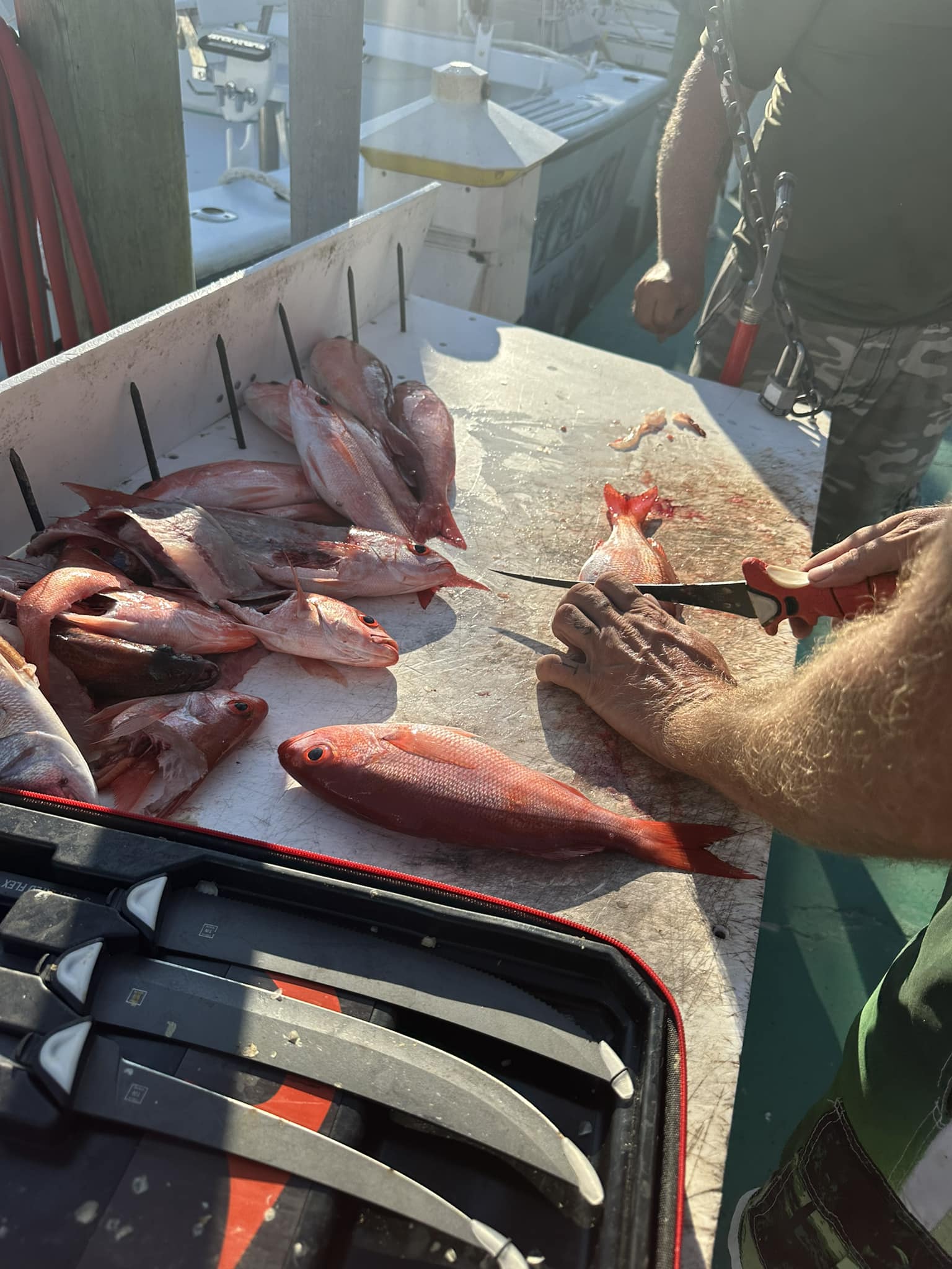 Destin fishing scene