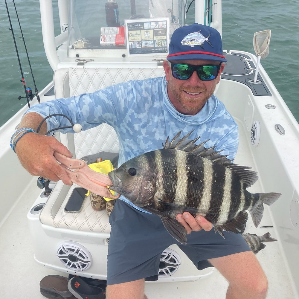 A sheepshead fish caught while fishing in South Carolina