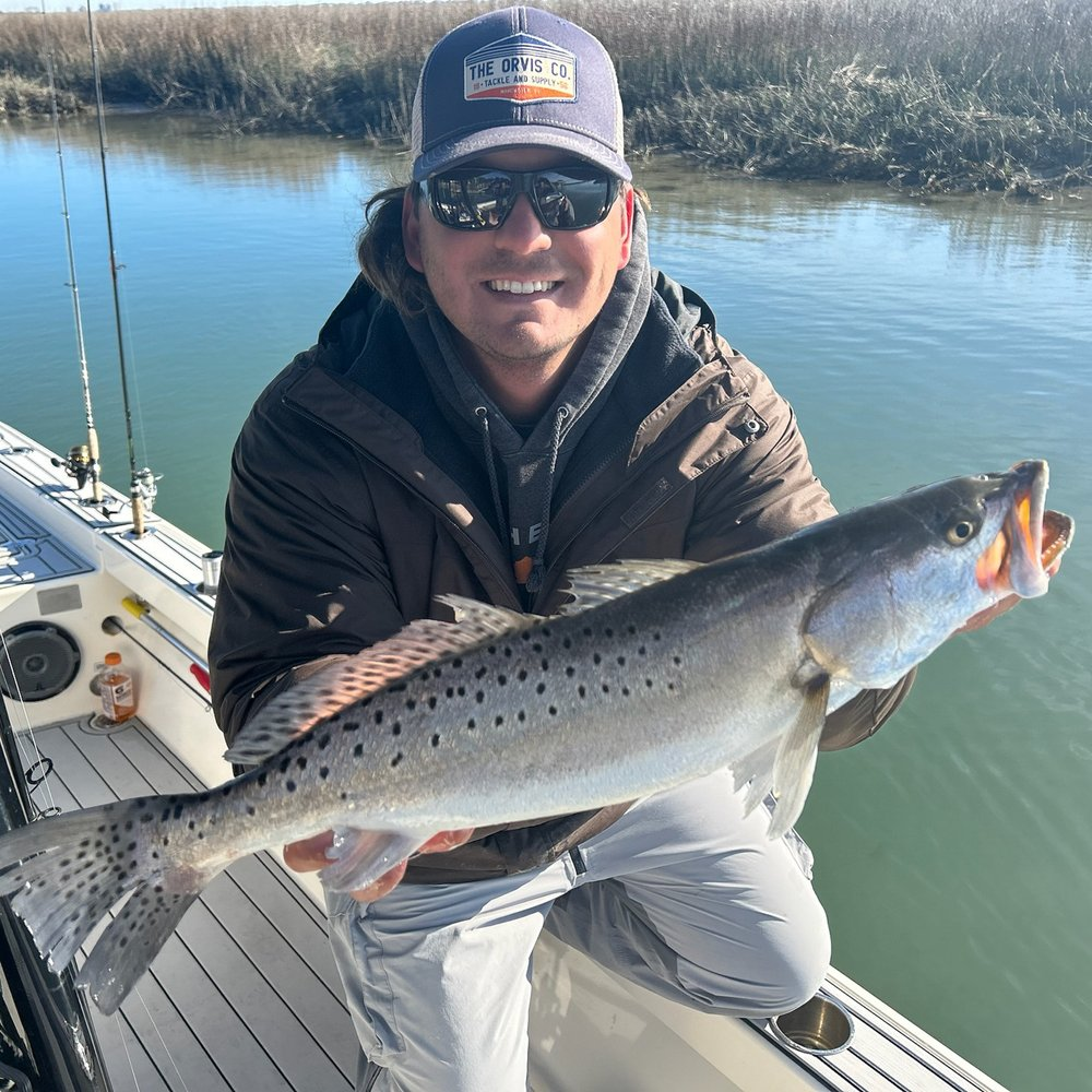 Spotlight Weakfish caught in Murrells Inlet