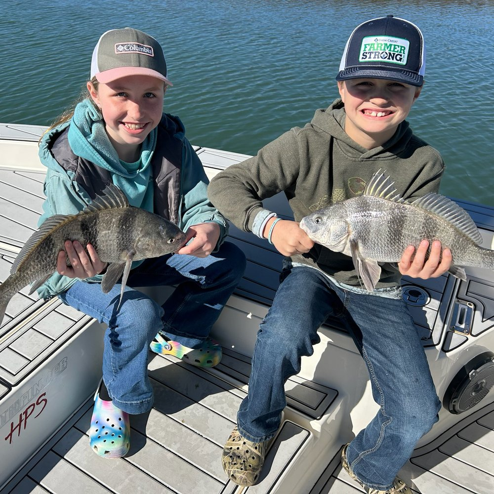 Two black drum fish caught in Murrells Inlet