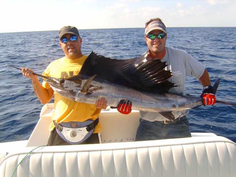 Atlantic sailfish caught during fishing trip in Key West FL