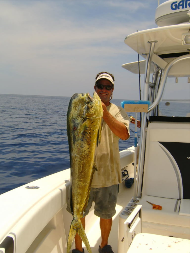 Large mahi mahi caught while fishing in Key West FL displayed on boat deck